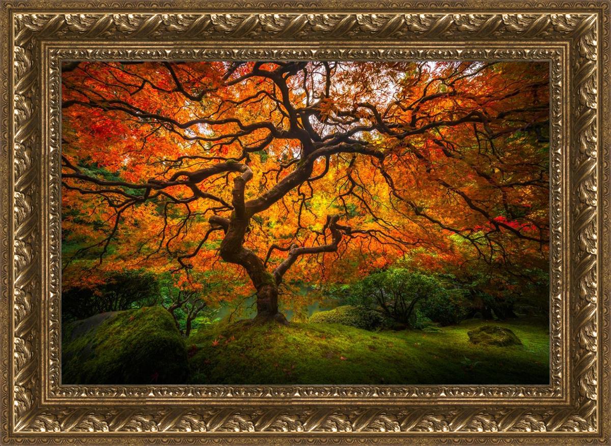 Tree of Perspective