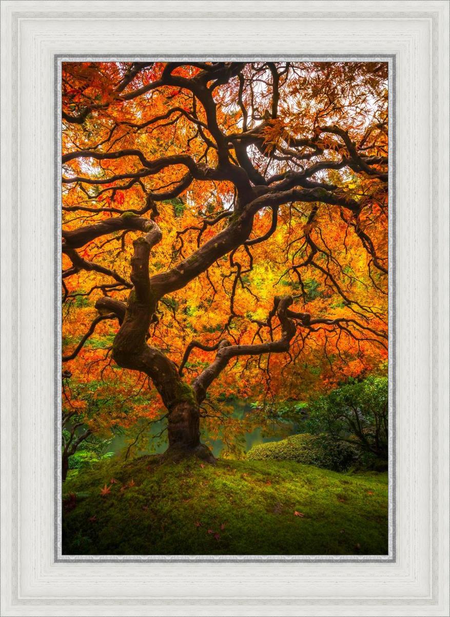 Tree of Perspective Vertical