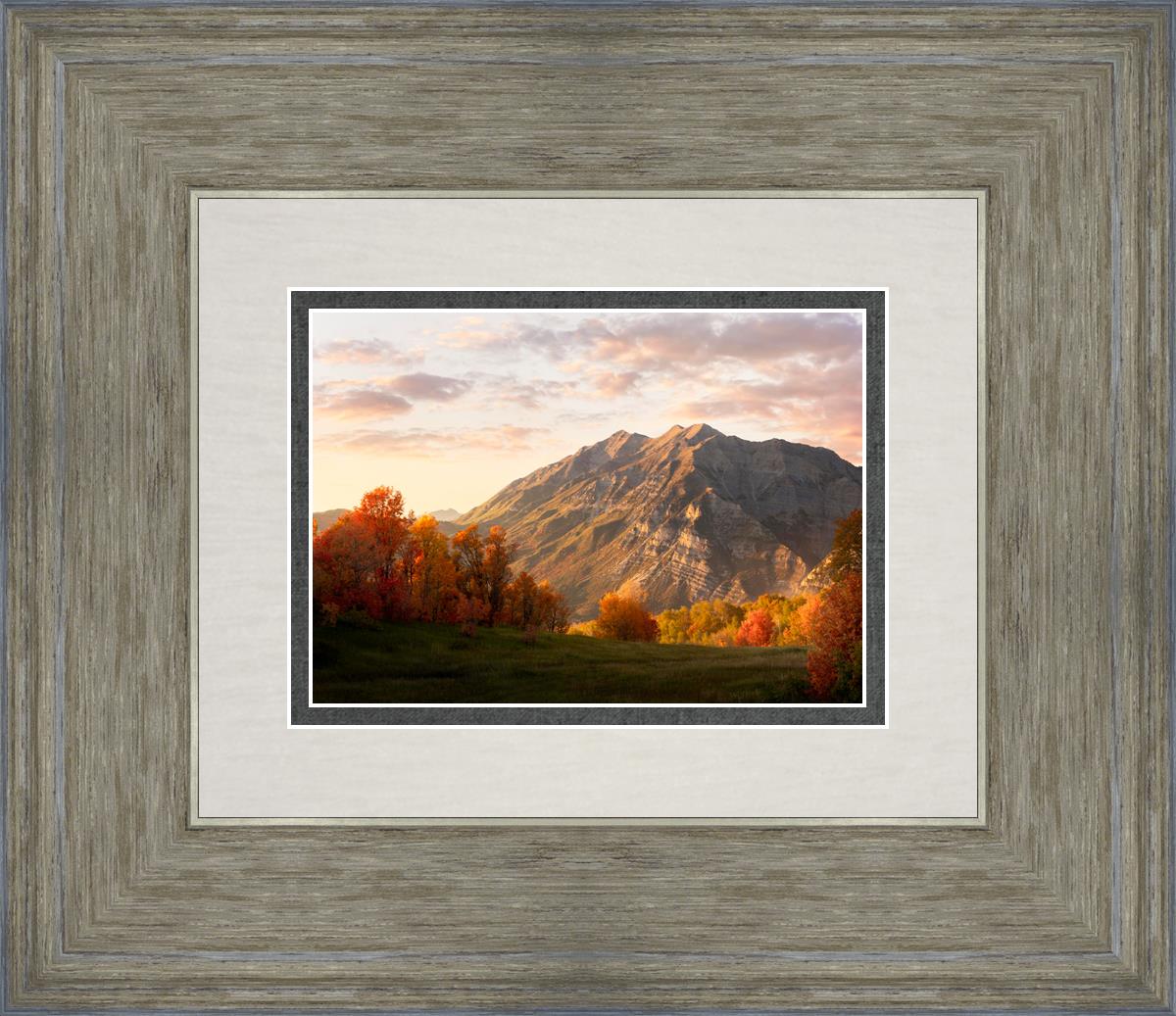 Timpanogos Autumn