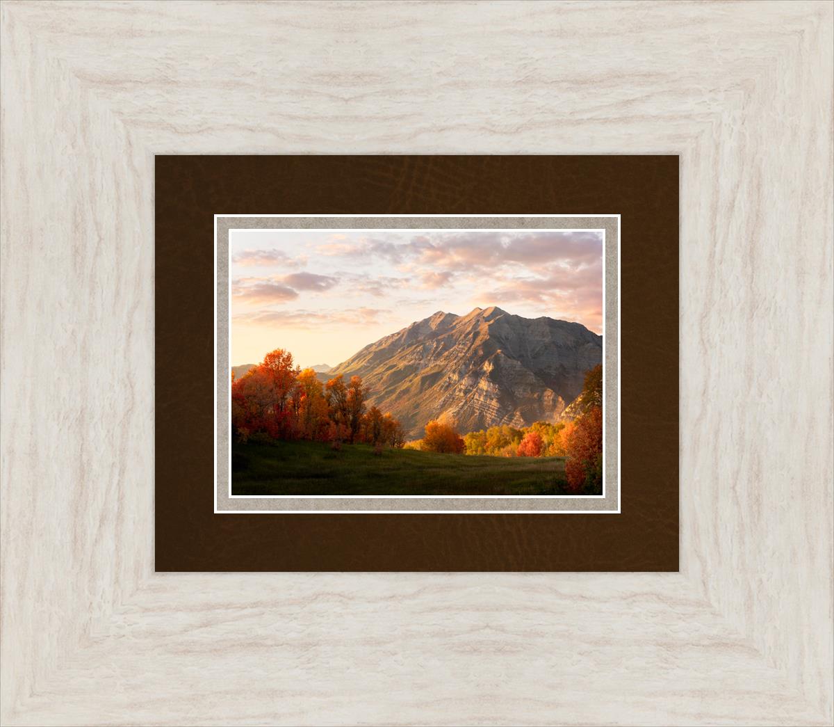 Timpanogos Autumn