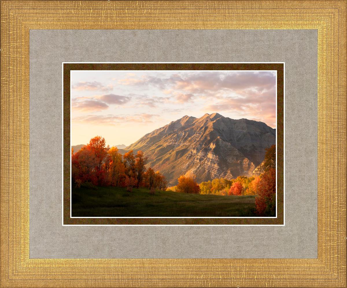 Timpanogos Autumn