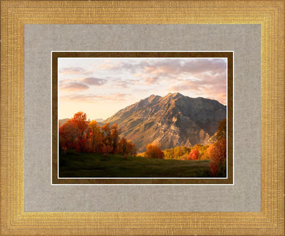 Timpanogos Autumn