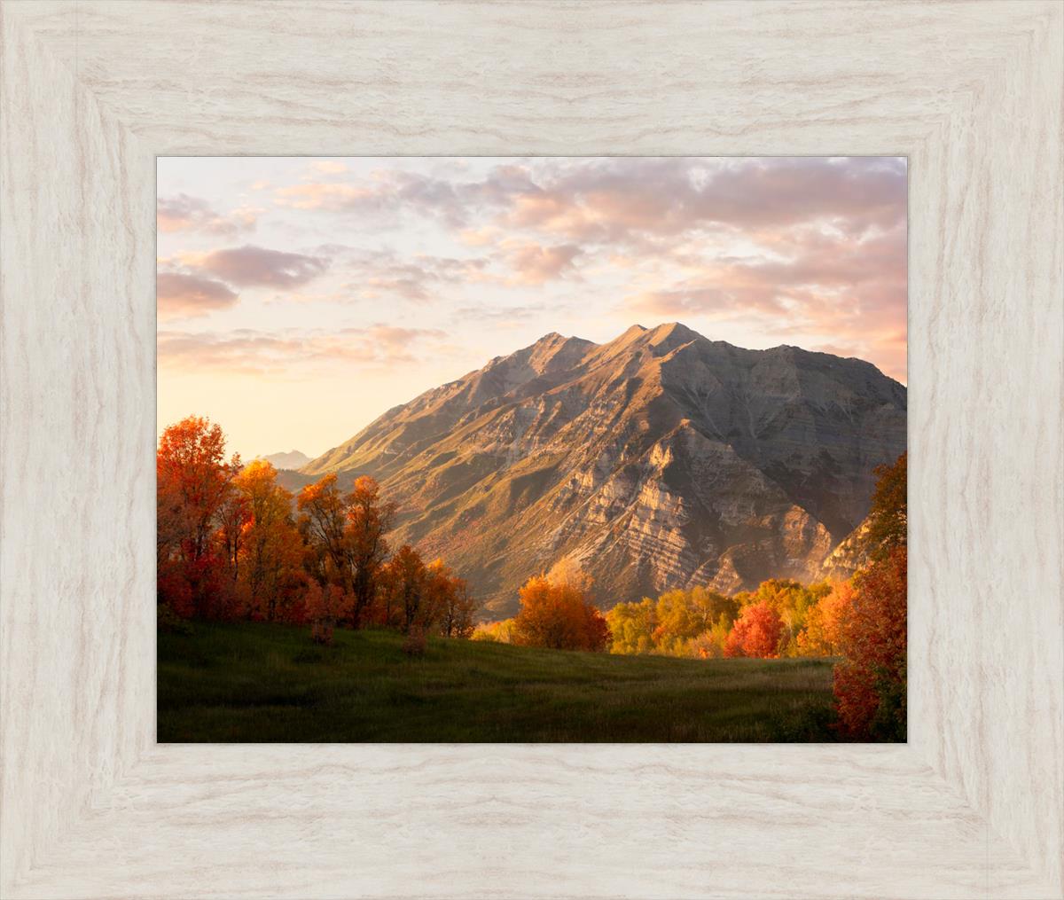 Timpanogos Autumn