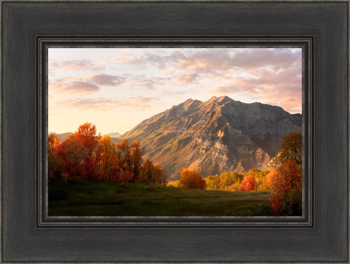 Timpanogos Autumn