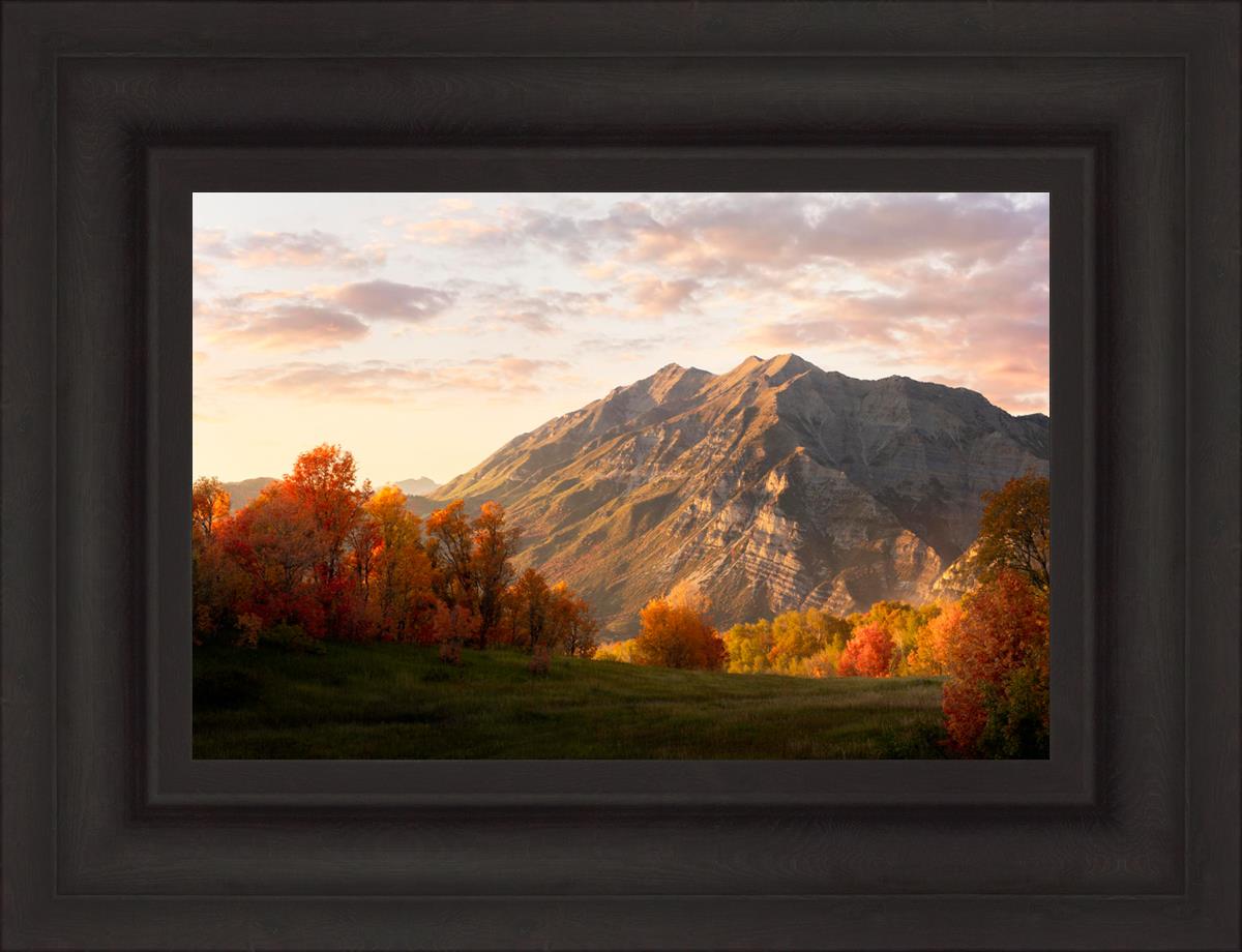 Timpanogos Autumn