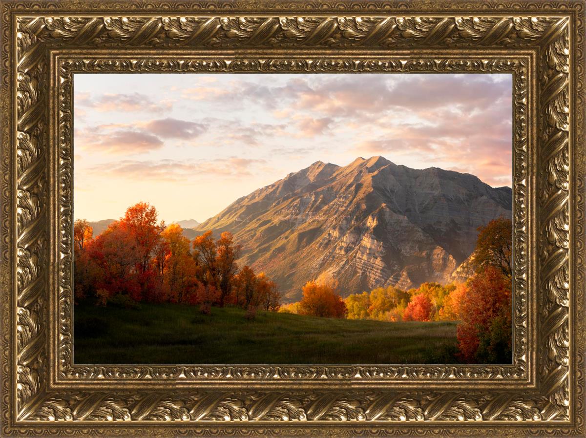 Timpanogos Autumn