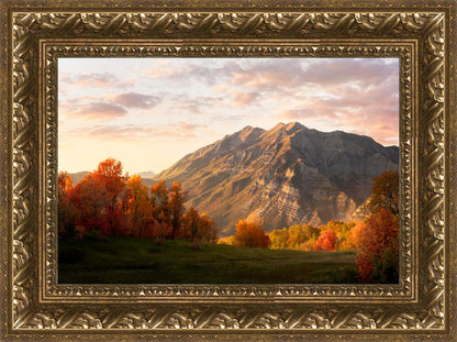 Timpanogos Autumn