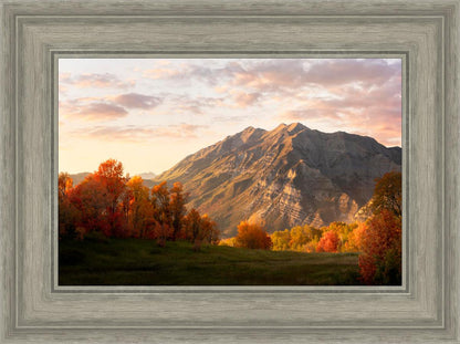 Timpanogos Autumn