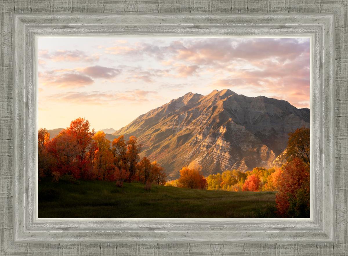 Timpanogos Autumn