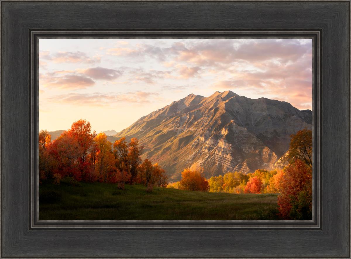 Timpanogos Autumn