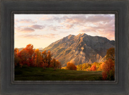 Timpanogos Autumn