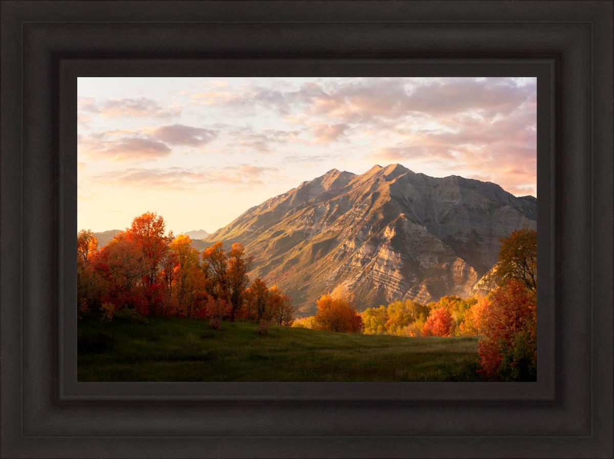 Timpanogos Autumn