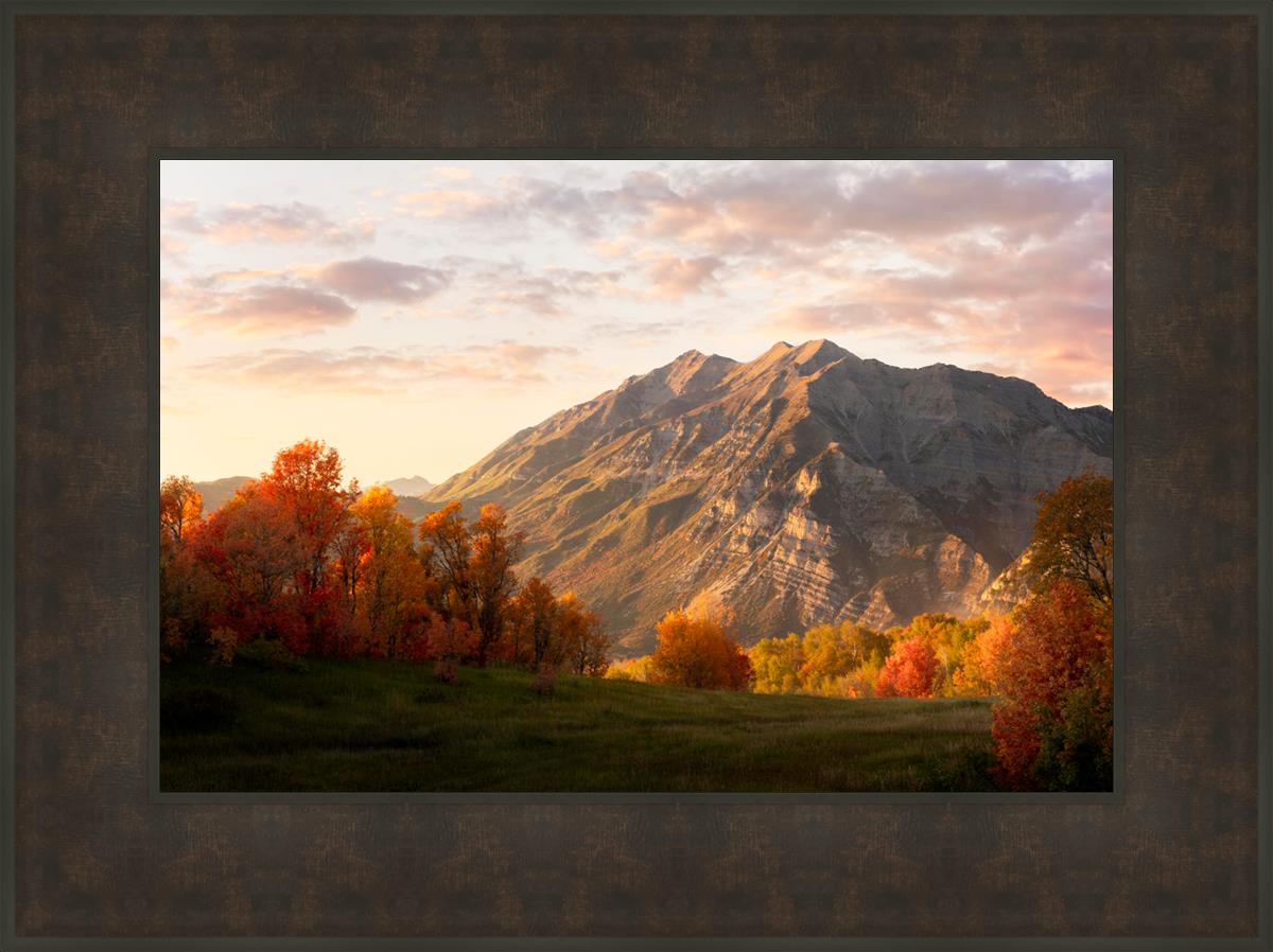 Timpanogos Autumn