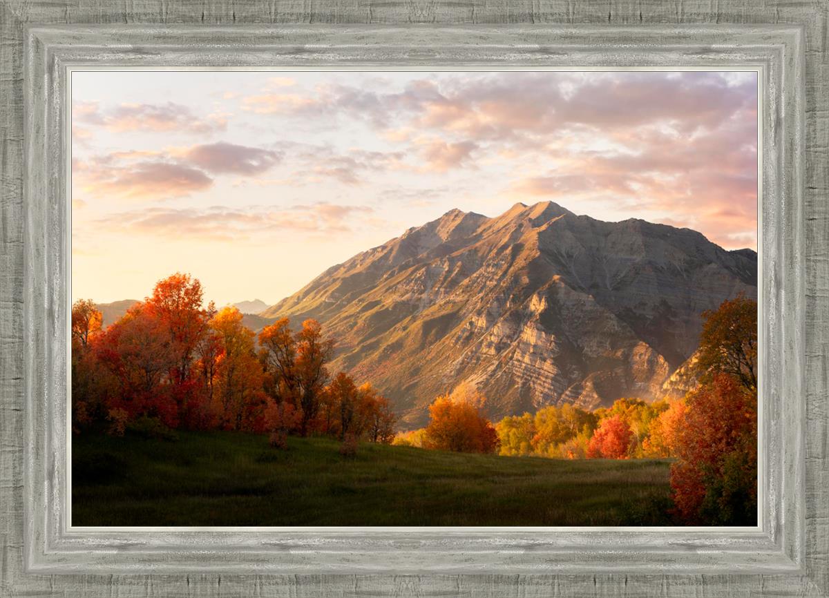 Timpanogos Autumn