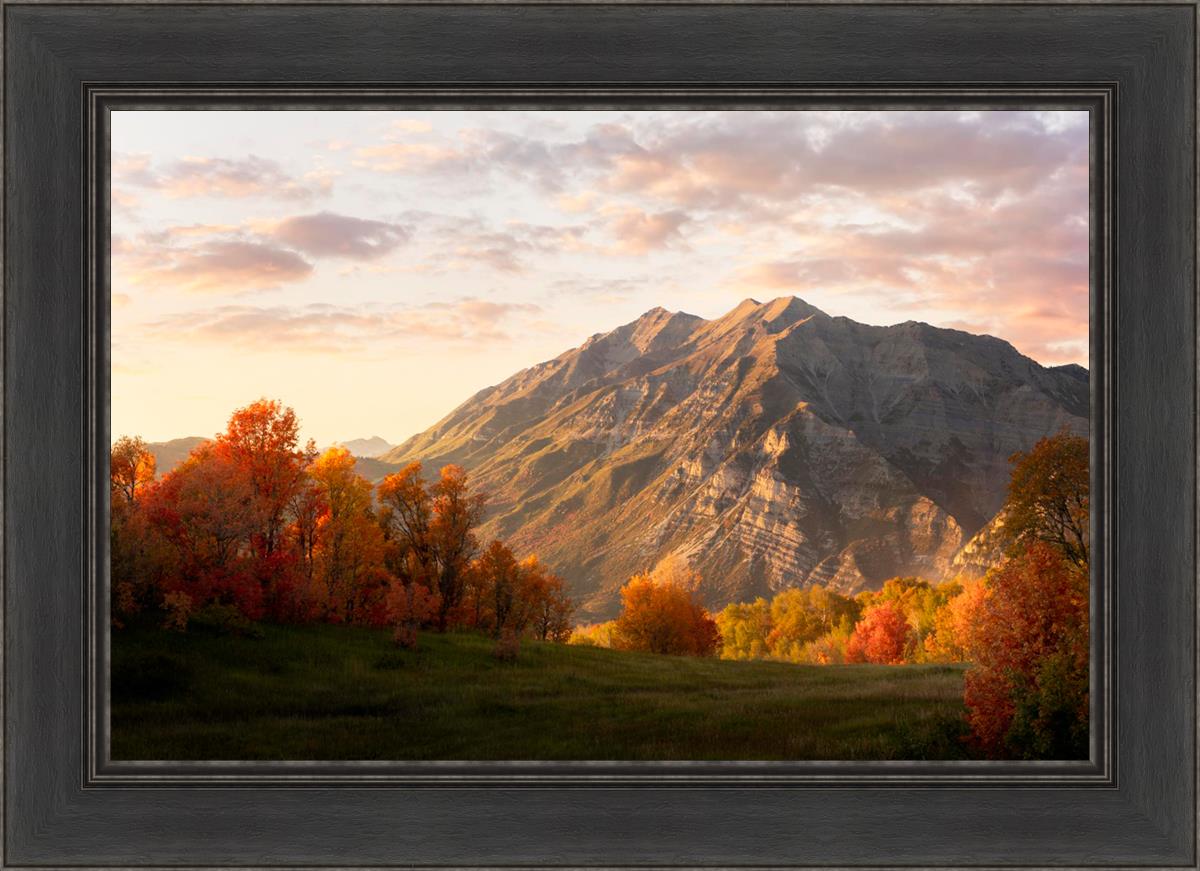 Timpanogos Autumn