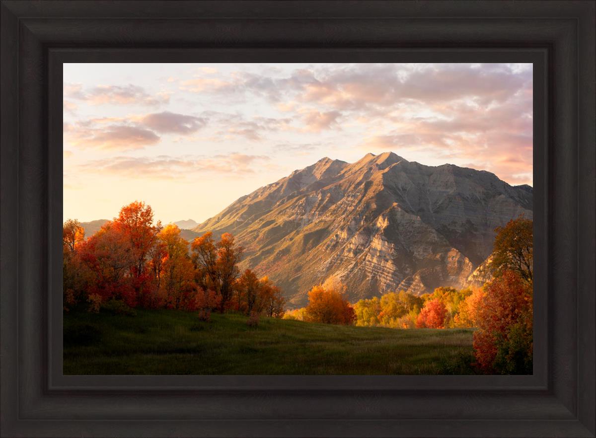 Timpanogos Autumn