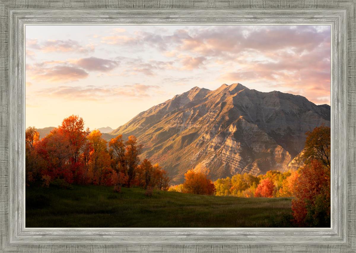 Timpanogos Autumn