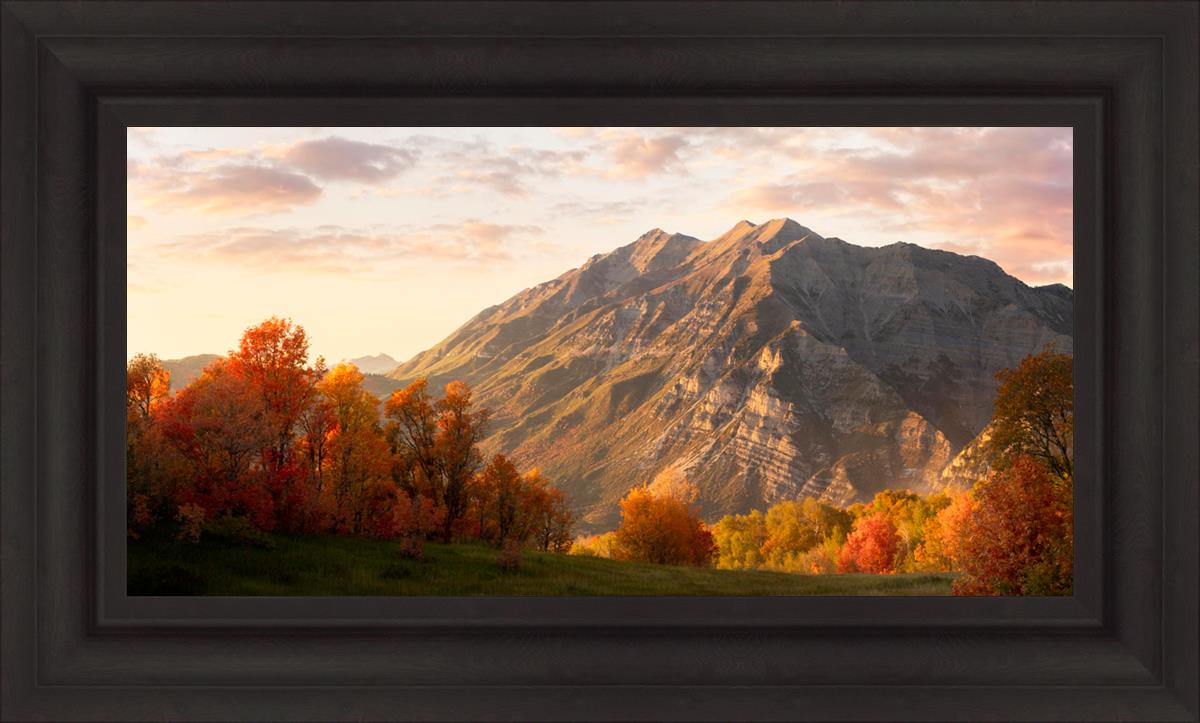 Timpanogos Autumn