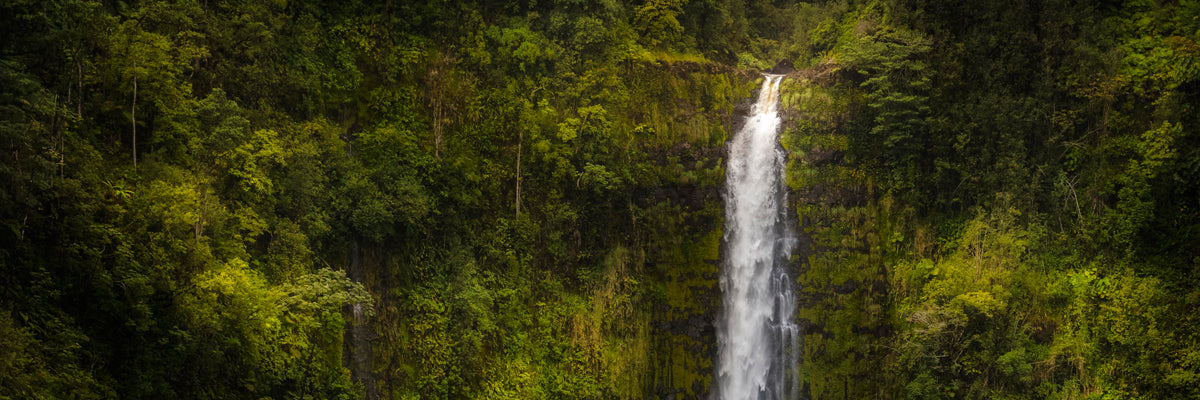 Akaka Falls, Hawaii