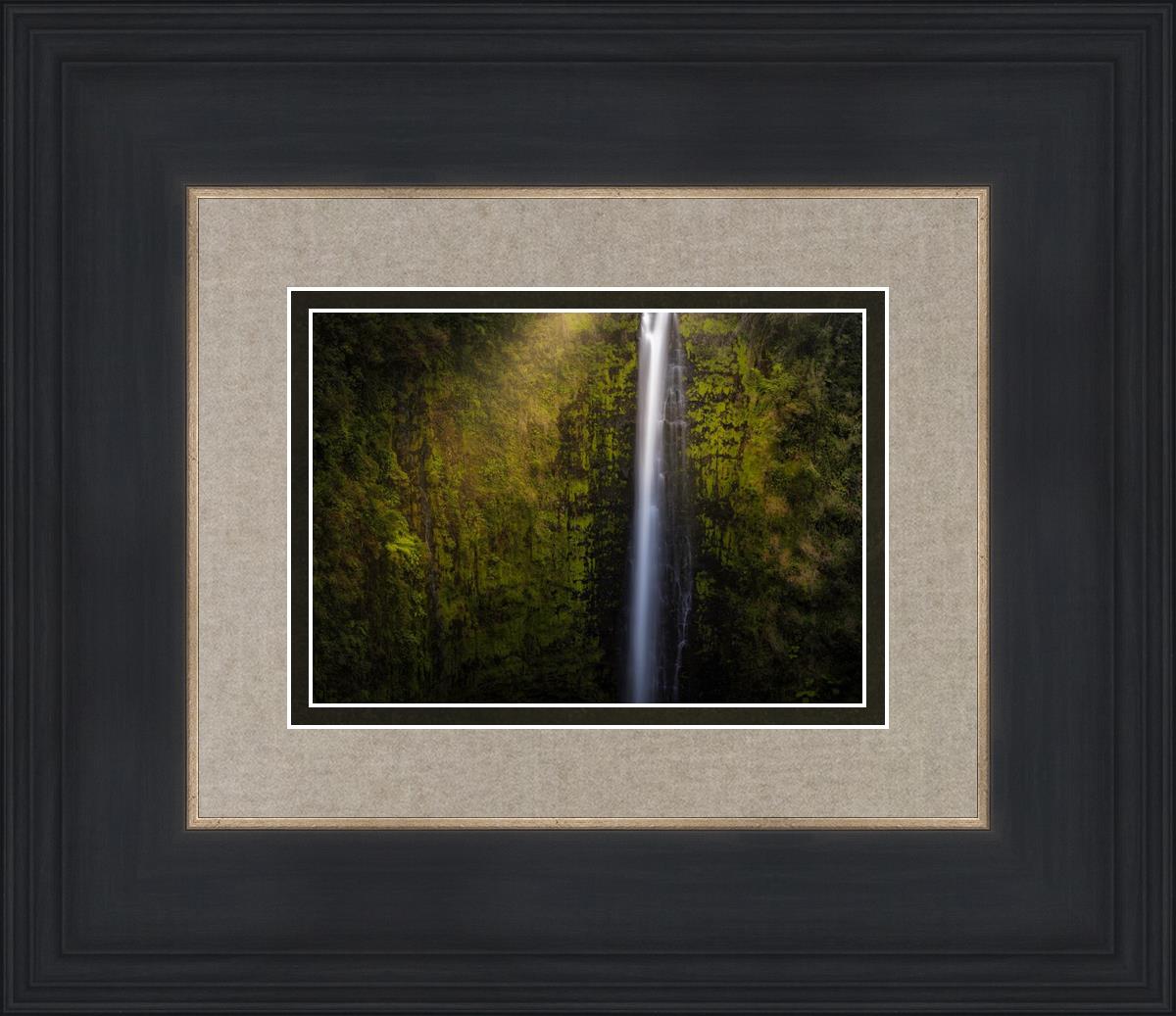 Akaka Falls Aloha