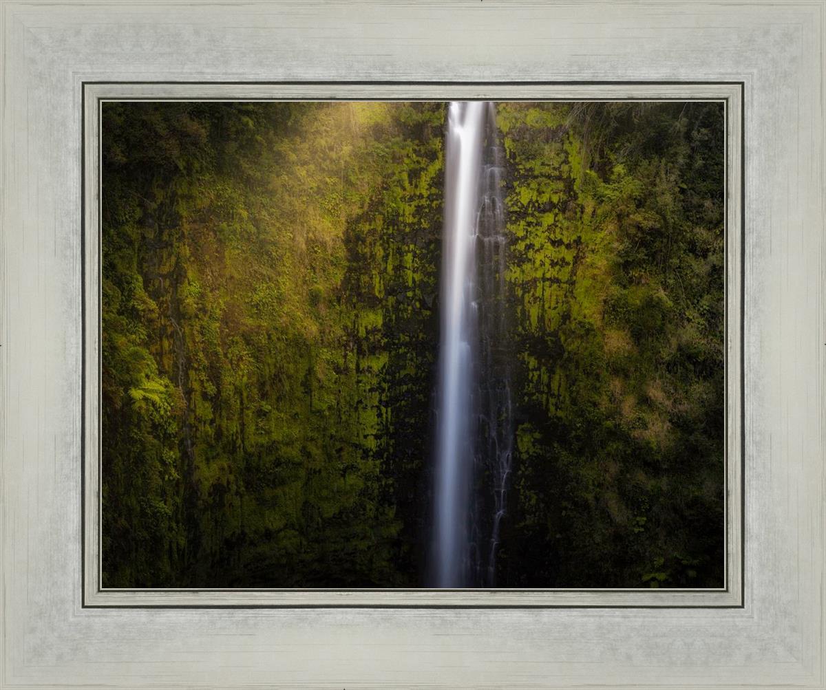 Akaka Falls Aloha
