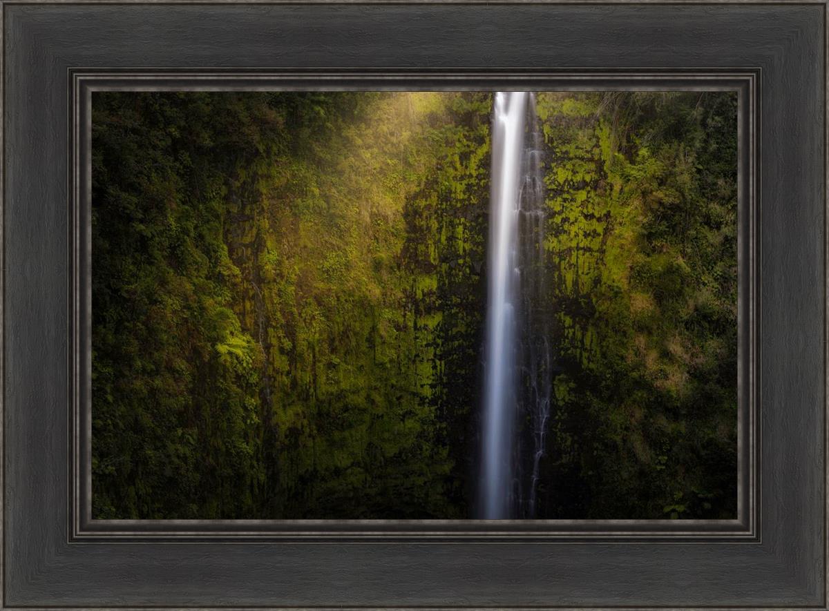Akaka Falls Aloha