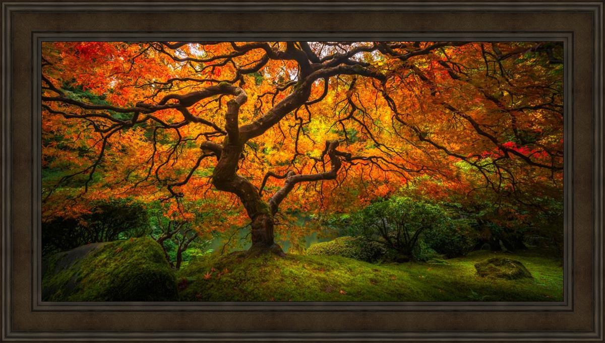 Tree of Perspective  Large Wall Art