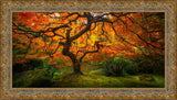 Tree of Perspective  Large Wall Art