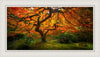 Tree of Perspective  Large Wall Art