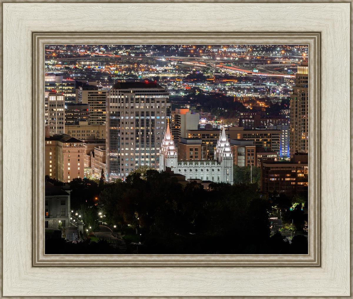 Salt Lake Temple City View