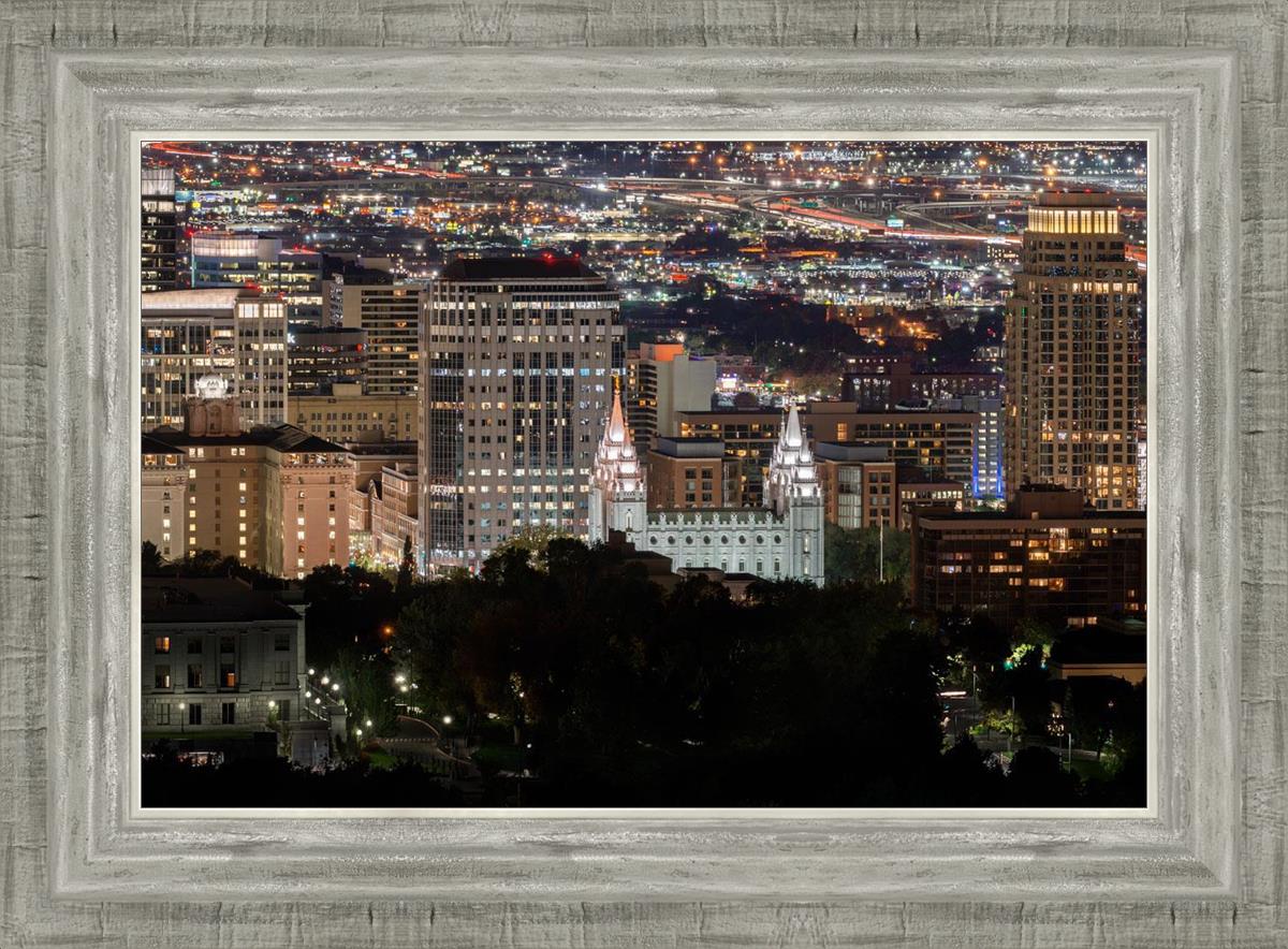 Salt Lake Temple City View