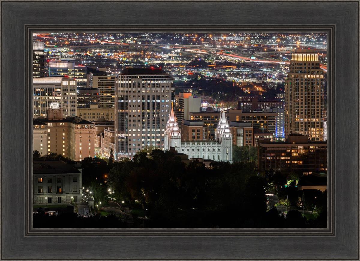 Salt Lake Temple City View