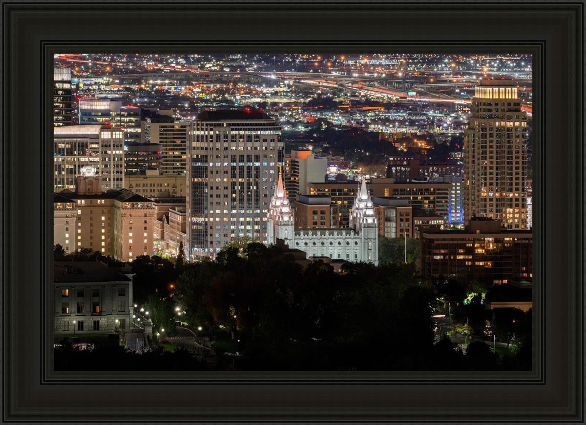 Salt Lake Temple City View