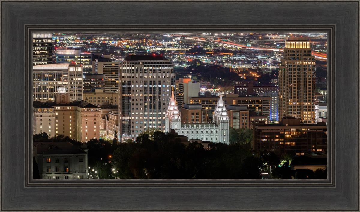 Salt Lake Temple City View