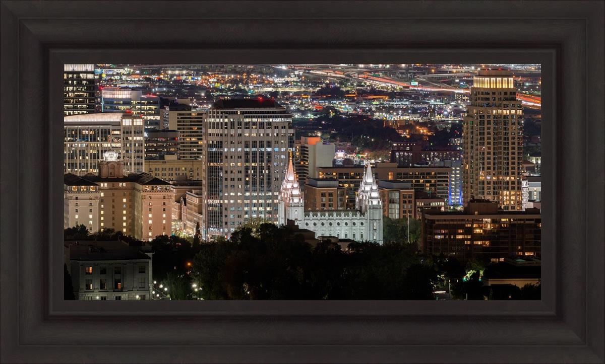 Salt Lake Temple City View