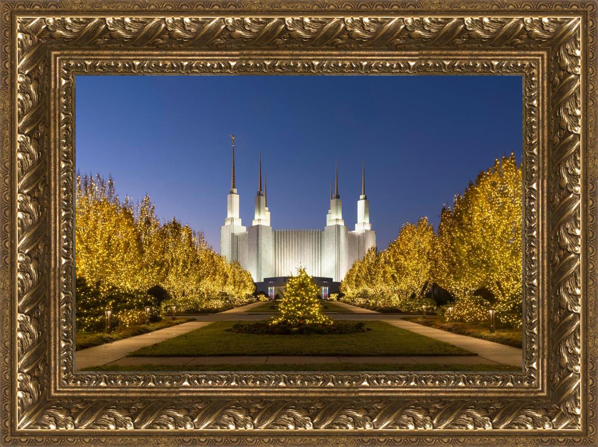 Washington DC Golden Christmas