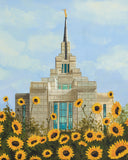 Kyiv Temple with Sunflowers