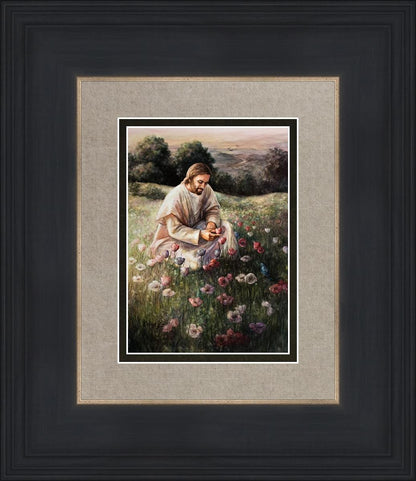Lilies Of The Field