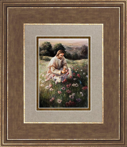 Lilies Of The Field