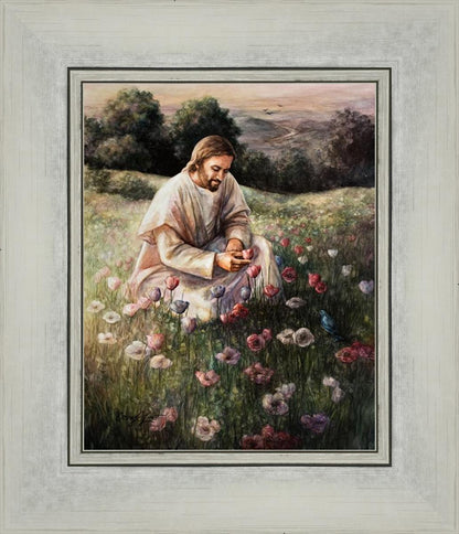 Lilies Of The Field
