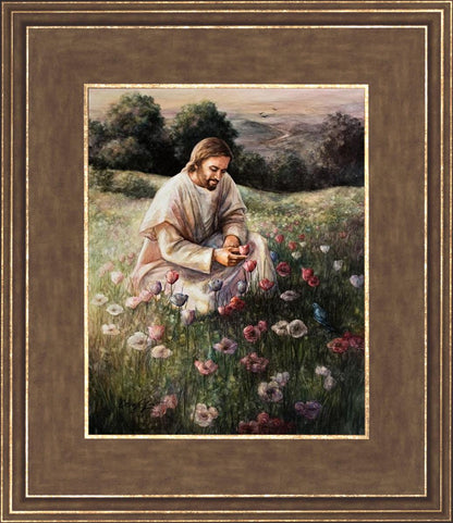 Lilies Of The Field