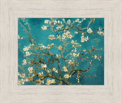 Blossoming Almond
