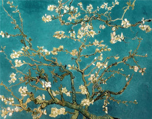 Blossoming Almond