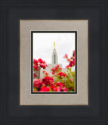 Made Whole Again Draper Temple