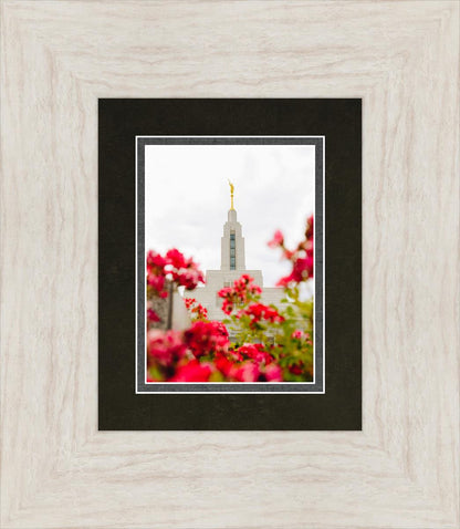 Made Whole Again Draper Temple