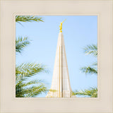 Wrapped in His Glory Gilbert Temple