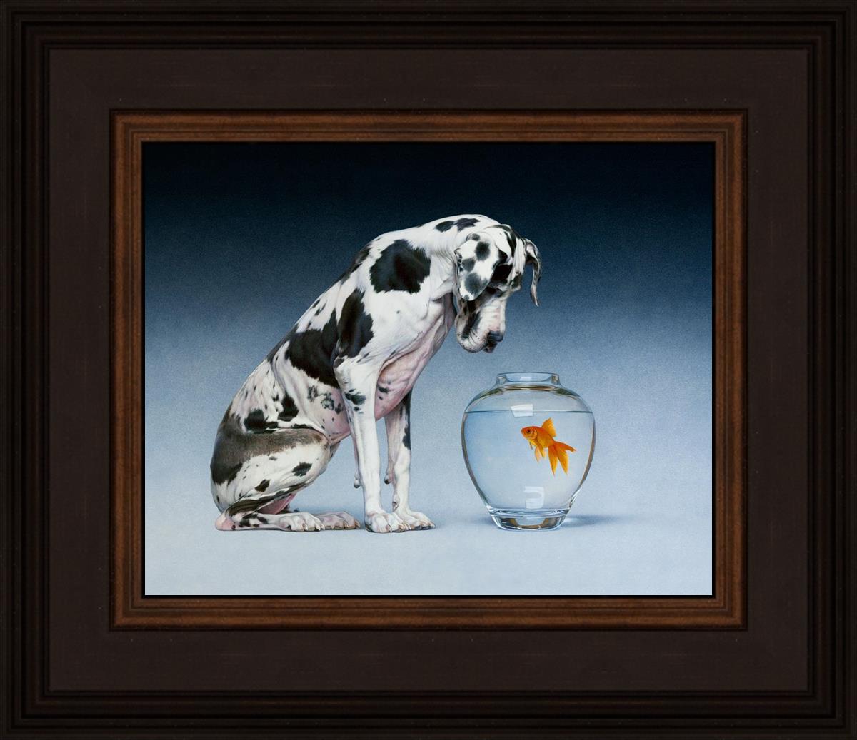 Dane and Fish