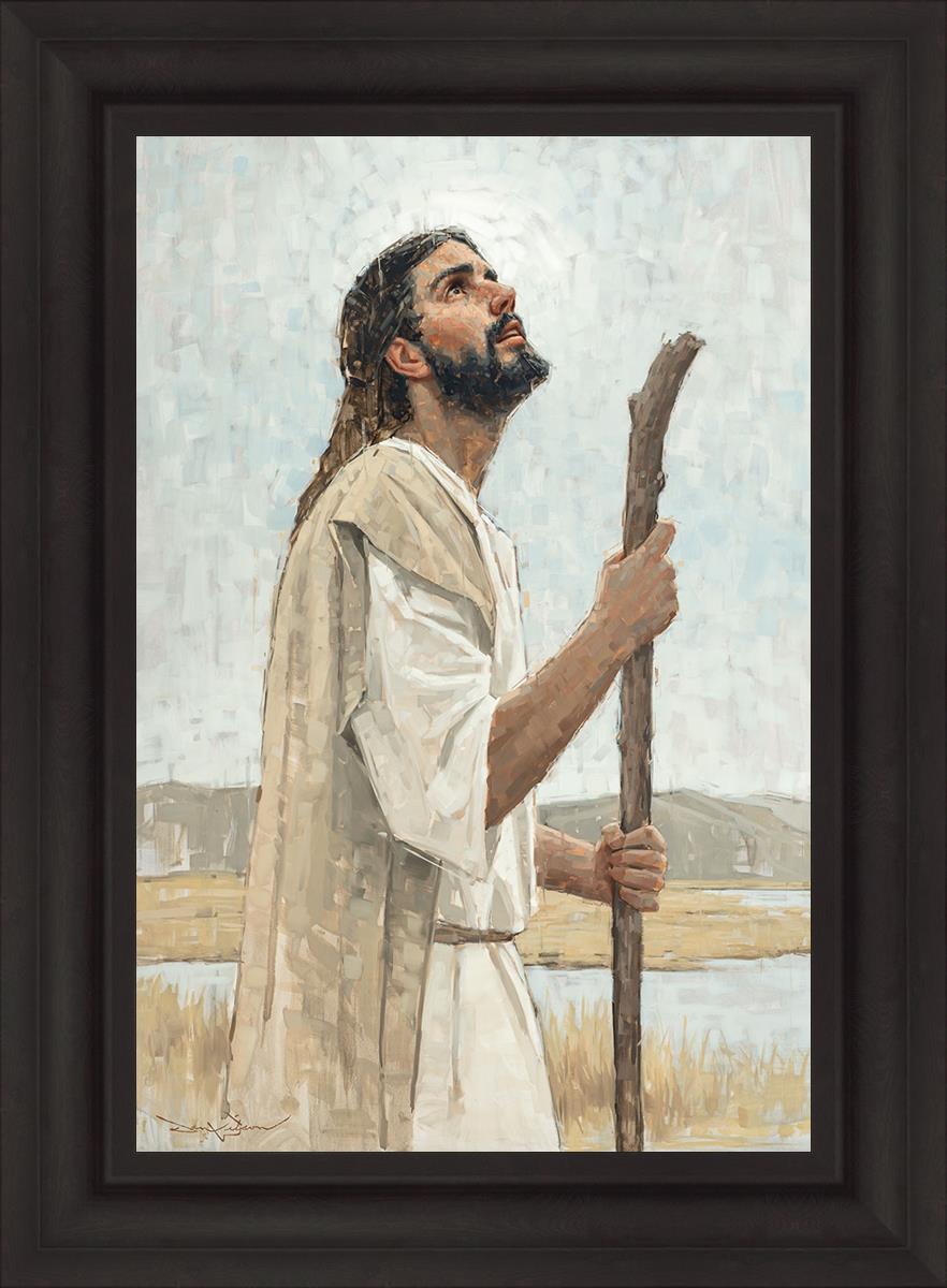 Our Shepherd