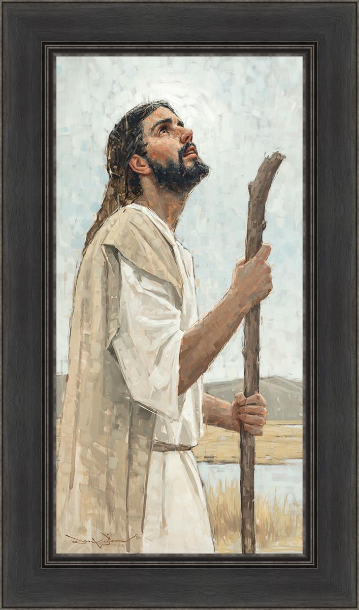 Our Shepherd