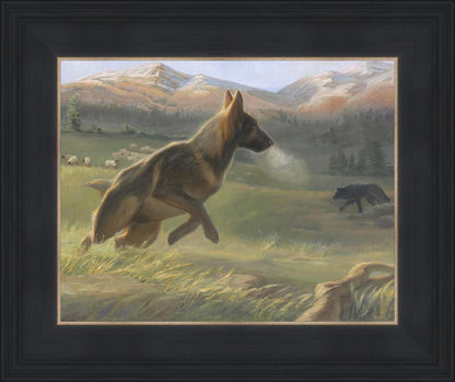 Sheep Dog